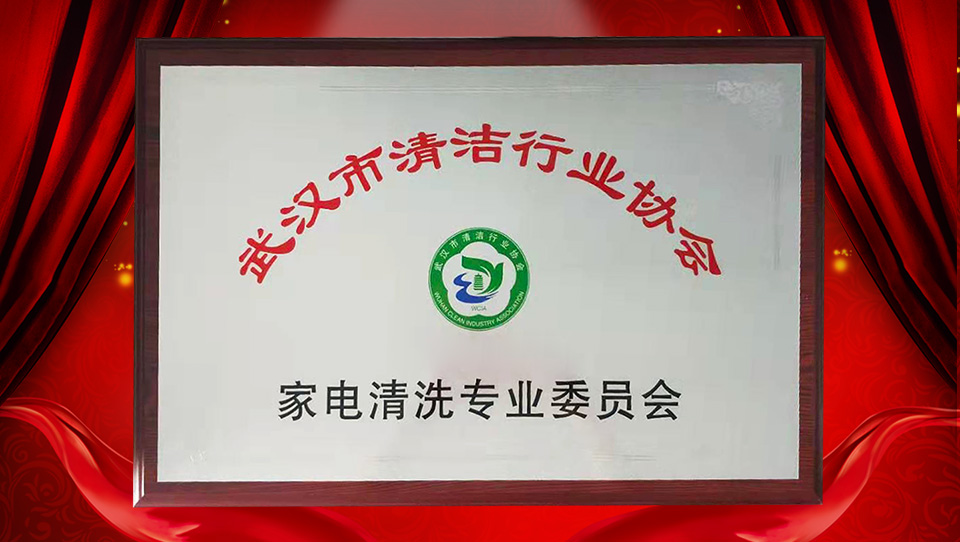 热烈庆祝武汉市清洁行业协会暨家电清洗专业委员会成立